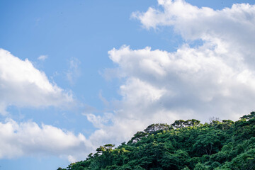 Obraz premium 夏の青空と白い雲