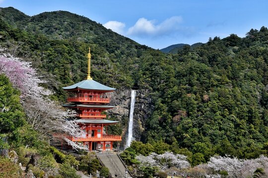 Pagoda del templo de Nachi, Kumano Kodo, Jap&oacute;n