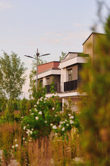 modern housing surrounded by lush greenery at sunset. contemporary architecture with large windows...