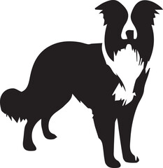 Border Collie Dog Vector – Silhouette 