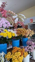 Colorful Fresh Flowers Displayed in Outdoor Flower Shop