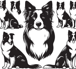 Border Collie Dog Vector – Silhouette 