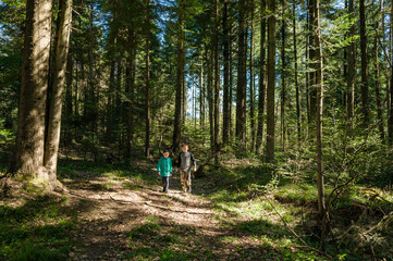 Obraz premium Two children walk a sun-dappled path through a lush forest, enjoying a nature adventure.