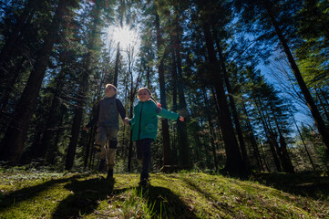 Fototapeta premium Children holding hands, running through a sun-dappled forest.