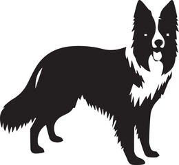 Border Collie Dog Vector – Silhouette 