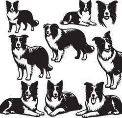 Border Collie Dog Vector – Silhouette 