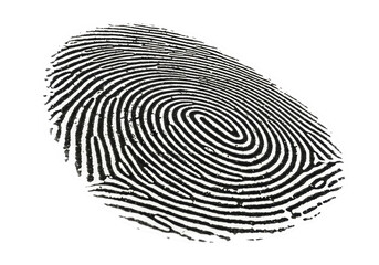 Isolated Detailed Fingerprint Unique Identity