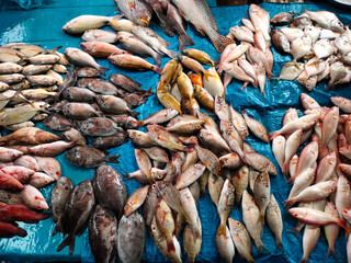 Fresh fish in traditional market 