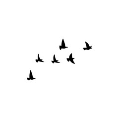 Flying birds.White background.Vector image.