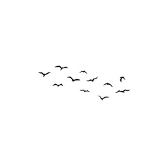 png flock of flying bird in the sky white background 