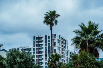 Contemporary Skyscrapers in Casablanca, Morocco – Financial and Corporate Hub 13 June 2025
