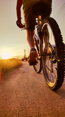 Cyclist rides mountain bike sunset trail rural field. Young man riding on bike in the countryside. Back view. Active summer holidays.