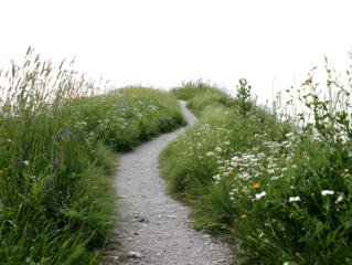 A serene pathway winds its way through a verdant landscape, framed by vibrant wildflowers and lush greenery. 