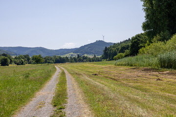 Country dirt road winding through fields, flanked by bushes. Distant forested hills and wind turbines under a clear summer sky