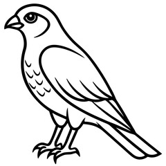 Line Art Sparrowhawk Silhouette