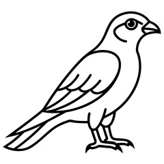 Line Art Sparrowhawk Silhouette