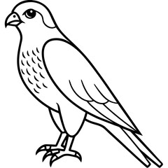 Line Art Sparrowhawk Silhouette