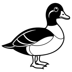 Line Drawing of a Graceful Wood Duck