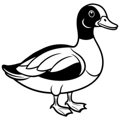 Line Drawing of a Graceful Wood Duck