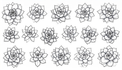 Hand drawn set succulent in style outline doodle. Graphics sketch home desert flower. Vector illustration, isolated black elements on a white background.
