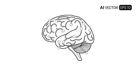 Human brain illustration displaying neural connections and network activity with a clean, white background emphasizing medical applications.