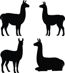 llama silhouette set, black llama vector, llama clipart collection, alpaca silhouette vector, animal silhouette pack, llama icon design, black and white llama art, llama 