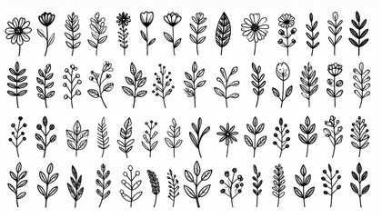 Hand drawn floral elements black silhouette leaves and twigs graphic design elements
