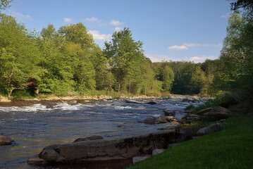 A flowing river with small rapids winds through a lush green forest under a bright blue sky with scattered clouds on a peaceful summer day