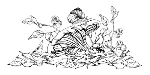 Obraz premium Russula cortinarius webcap mushroom, crawling snail on cap, blueberry blackberry berries twigs on top of fallen autumn leaves pile. Forest floor. Fungi natural illustration hand drawn in vector ink.