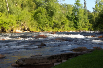 Obraz premium A flowing river with small rapids winds through a lush green forest under a bright blue sky with scattered clouds on a peaceful summer day