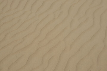 Sand Dune Ripples Texture Background