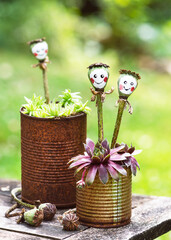 Rustic rusted can flowerpots with handmade smiling poppy seed heads with painted faces  and houseleeks (Sempervivum) plants. Kids nature crafts or garten decoration concept.