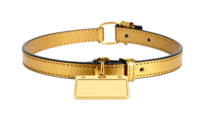 Luxurious gold cat collar with metallic name tag, isolated on white, elegant pet accessory.