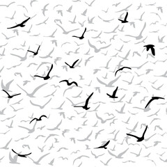 Flock of flying silhouette birds. Birds seamless pattern. White seagulls on a blue background. Vector
