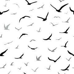 Flock of flying silhouette birds. Birds seamless pattern. White seagulls on a blue background. Vector