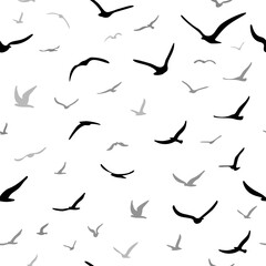 Flock of flying silhouette birds. Birds seamless pattern. White seagulls on a blue background. Vector