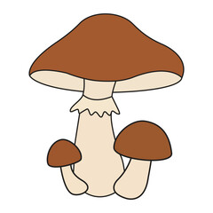 A trio of brown and cream mushrooms, varying in size, ideal for illustrating fungi, nature, or woodland themes