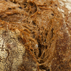 Sourdough leavened round malt bread with various seeds