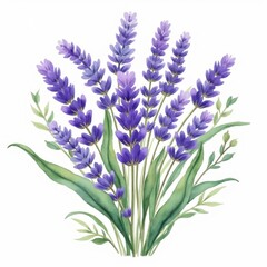 Naklejka premium Vibrant watercolor lavender bouquet with lush green leaves