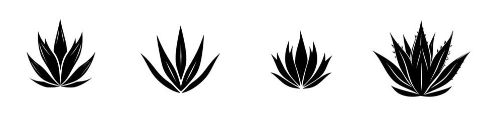 Black icons depicting various styles of agave plants arranged in a line against a plain background