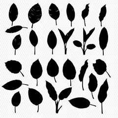 Collection of diverse black silhouette leaf illustrations, showcasing various shapes, sizes, and arrangements, set against a transparent background.