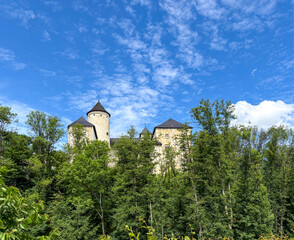 Scenic Castle Surrounded by Lush Green Forest