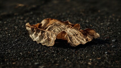 Employee in supermarket aisle checking reduced for quick sale items on the shelves with a smile