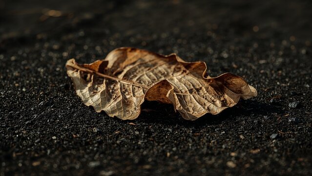 Employee in supermarket aisle checking reduced for quick sale items on the shelves with a smile