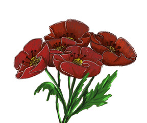 poppies