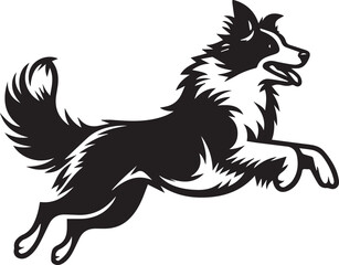 Border Collie Dog Vector – Silhouette 
