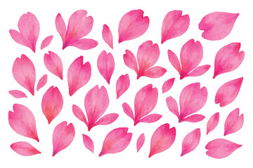 watercolor sakura petals pattern design