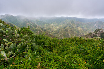 Mountains of Anaga, in Tenerife