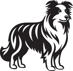 Border Collie Dog Vector – Silhouette 