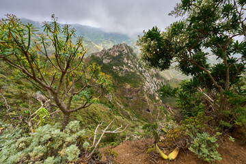 Volcanic cliffs and peaks in Anaga